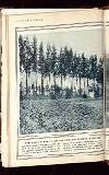 Illustrated War News Wednesday 14 October 1914 Page 16