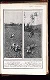 Illustrated War News Wednesday 28 October 1914 Page 45