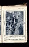 Illustrated War News Wednesday 11 November 1914 Page 15