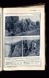 Illustrated War News Wednesday 11 November 1914 Page 35