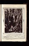 Illustrated War News Wednesday 18 November 1914 Page 17