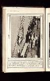 Illustrated War News Wednesday 18 November 1914 Page 22
