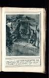 Illustrated War News Wednesday 18 November 1914 Page 35
