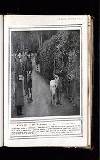Illustrated War News Wednesday 18 November 1914 Page 45