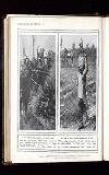 Illustrated War News Wednesday 18 November 1914 Page 50