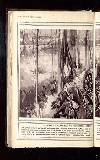 Illustrated War News Wednesday 02 December 1914 Page 32