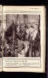 Illustrated War News Wednesday 02 December 1914 Page 33