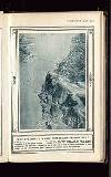 Illustrated War News Wednesday 02 December 1914 Page 41