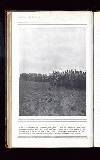 Illustrated War News Wednesday 02 December 1914 Page 44