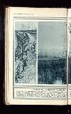 Illustrated War News Wednesday 16 December 1914 Page 14