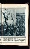 Illustrated War News Wednesday 16 December 1914 Page 15