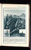 Illustrated War News Wednesday 16 December 1914 Page 31
