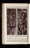 Illustrated War News Wednesday 23 December 1914 Page 42