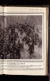 Illustrated War News Wednesday 30 December 1914 Page 27