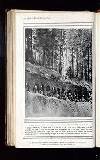 Illustrated War News Wednesday 30 December 1914 Page 50