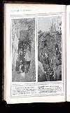Illustrated War News Wednesday 27 January 1915 Page 46