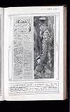 Illustrated War News Wednesday 24 February 1915 Page 7