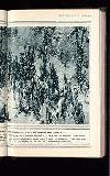Illustrated War News Wednesday 24 February 1915 Page 29