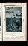 Illustrated War News Wednesday 10 March 1915 Page 9