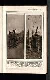 Illustrated War News Wednesday 31 March 1915 Page 33