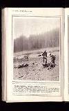 Illustrated War News Wednesday 14 April 1915 Page 12