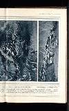 Illustrated War News Wednesday 14 April 1915 Page 25