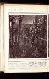 Illustrated War News Wednesday 05 May 1915 Page 24