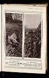 Illustrated War News Wednesday 26 May 1915 Page 13