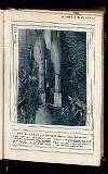 Illustrated War News Wednesday 26 May 1915 Page 19