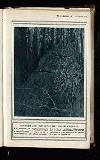 Illustrated War News Wednesday 26 May 1915 Page 43