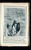 Illustrated War News Wednesday 09 June 1915 Page 15