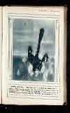 Illustrated War News Wednesday 09 June 1915 Page 19
