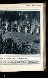 Illustrated War News Wednesday 09 June 1915 Page 29
