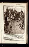 Illustrated War News Wednesday 09 June 1915 Page 31