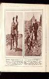 Illustrated War News Wednesday 16 June 1915 Page 20