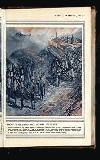 Illustrated War News Wednesday 16 June 1915 Page 25