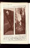 Illustrated War News Wednesday 16 June 1915 Page 44