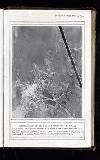 Illustrated War News Wednesday 23 June 1915 Page 7