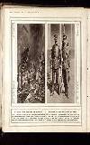 Illustrated War News Wednesday 23 June 1915 Page 24