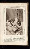 Illustrated War News Wednesday 23 June 1915 Page 25