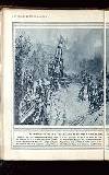 Illustrated War News Wednesday 30 June 1915 Page 22