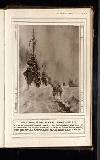 Illustrated War News Wednesday 07 July 1915 Page 19