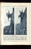 Illustrated War News Wednesday 07 July 1915 Page 34