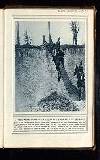 Illustrated War News Wednesday 07 July 1915 Page 35