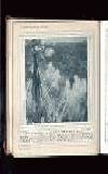 Illustrated War News Wednesday 04 August 1915 Page 44