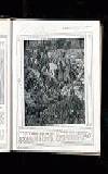 Illustrated War News Wednesday 27 October 1915 Page 7
