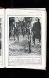 Illustrated War News Wednesday 27 October 1915 Page 45