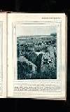 Illustrated War News Wednesday 03 November 1915 Page 21