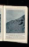 Illustrated War News Wednesday 10 November 1915 Page 15