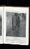 Illustrated War News Wednesday 08 December 1915 Page 43